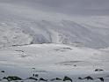 Norway 088
